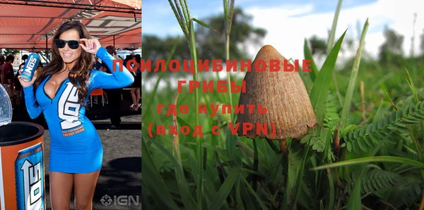 PSILOCYBIN Алзамай